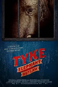 Постер к фильму «Tyke Elephant Outlaw (2015)»