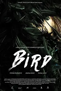 Постер к фильму «Bird (2015)»