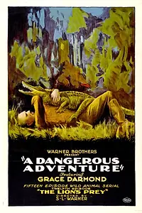 Постер к фильму «A Dangerous Adventure (1922)»