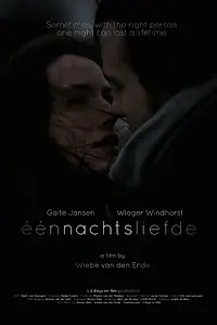 Постер к фильму «Eénnachtsliefde (2014)»