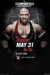 Главный постер фильма «WWE Камера ликвидации (2015)»
