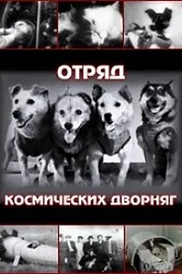Постер к фильму «Отряд космических дворняг (2004)»