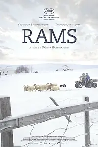 Постер к фильму «Бараны (2015)»