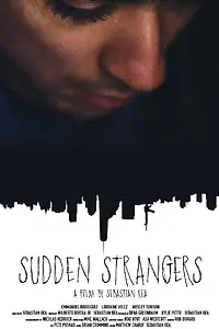 Постер к фильму «Sudden Strangers (2016)»