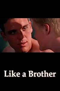 Постер к фильму «Как брат (2002)»