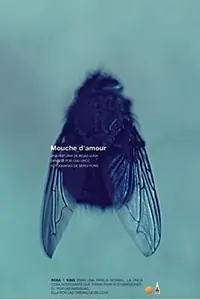 Постер к фильму «Mouche d'Amour (2004)»