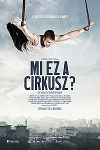Постер к фильму «Что за цирк? (2017)»