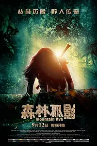 Постер к фильму «Sen Lin Gu Ying (2014)»