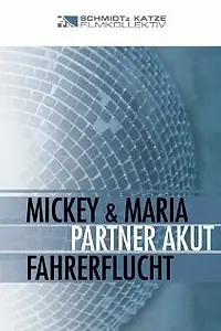 Постер к фильму «Fahrerflucht (2003)»