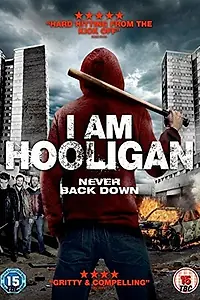 Главный постер фильма «Я хулиган (2016)»