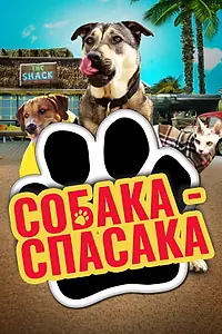 Главный постер фильма «Собака-спасака (2016)»