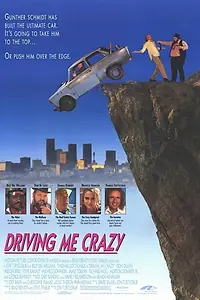 Постер к фильму «Сумасшедшая история (1991)»