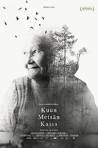 Главный постер фильма «Волшебный лес Кайсы (2016)»