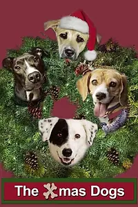 Постер к фильму «The Dogs of Winter»