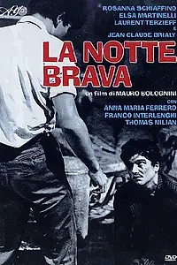 Главный постер фильма «Бурная ночь (1959)»
