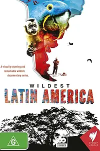 Главный постер сериала «В дебрях Латинской Америки (2012)»