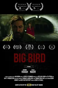 Постер к фильму «Big bird (2015)»