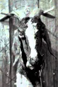 Главный постер фильма «Slipknot: Goat - The 10th Anniversary of Iowa (2011)»