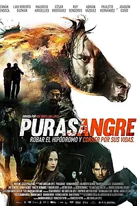Постер к фильму «Purasangre (2016)»