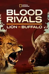 Главный постер фильма «Blood Rivals Lion vs Buffalo: Buffalo Fortress (2014)»