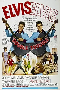 Постер к фильму «Двойные неприятности (1967)»