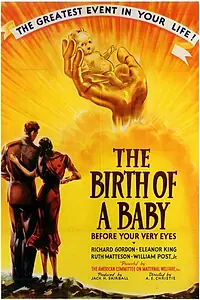 Главный постер фильма «Рождение ребёнка (1938)»
