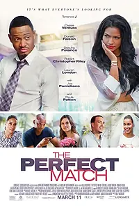 Главный постер фильма «Идеальный выбор (2016)»