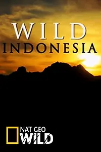 Главный постер сериала «Destination Wild: Indonesia (2015)»