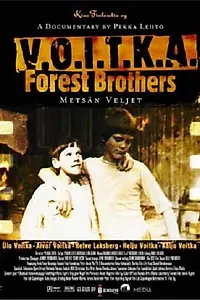 Постер к фильму «Войтка – лесные братья (2004)»