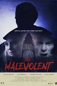 Главный постер фильма «The Malevolent (2016)»