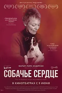 Постер к фильму «Собачье сердце (2015)»