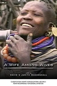 Главный постер фильма «A Wife Among Wives (1981)»