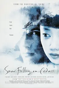 Главный постер фильма «Заснеженные кедры (1999)»