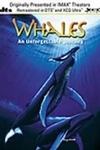 Главный постер фильма «Whales: An Unforgettable Journey (1997)»