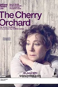 Главный постер фильма «Вишнёвый сад (2011)»