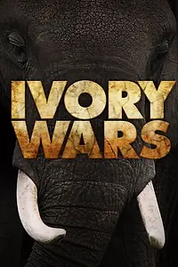 Постер к сериалу «Войны за слоновую кость (2013)»