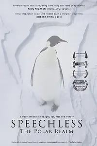 Главный постер фильма «Безмолвие: Полярное царство (2015)»