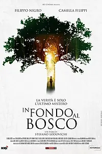 Главный постер фильма «В глубине леса (2015)»