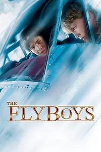Главный постер фильма «Схватка в небе (2008)»