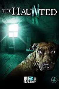 Постер к сериалу «Наваждение (2009 - 2011)»