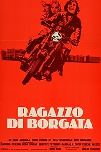 Постер к фильму «Парень из поселка (1976)»