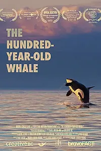 Постер к фильму «The Hundred Year Old Whale (2017)»