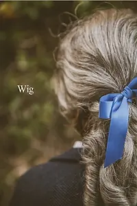 Постер к фильму «Wig (2015)»