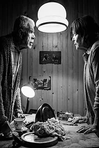 Главный постер фильма «Ljubezen na strehi sveta (2015)»