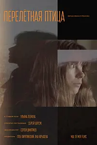 Постер к фильму «Перелетная птица (2024)»