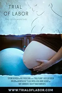 Постер к фильму «Trial of Labor (2015)»