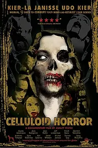 Главный постер фильма «Целлулоидный фильм ужасов (2004)»