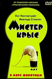 Постер к фильму «Мистер крыс (2000)»