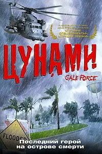 Постер к фильму «Цунами (2002)»