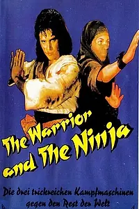 Главный постер фильма «Воин и ниндзя (1985)»